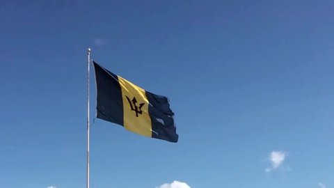 The Barbados flag flying against a clear blue sky