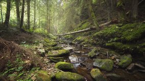 Peaceful stream flows around rocks and boulders in the wild and picturesque Carpathian Mountains of Ukraine. 4k Ultra HD video with nature sounds.