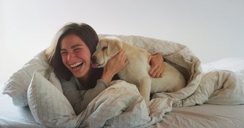 Authentic shot of an young happy woman is caressing her pedigree puppy of Labrador Retriever dog while having fun together on a bed. Concept: love for animals, friendship, authenticity, happiness,pets