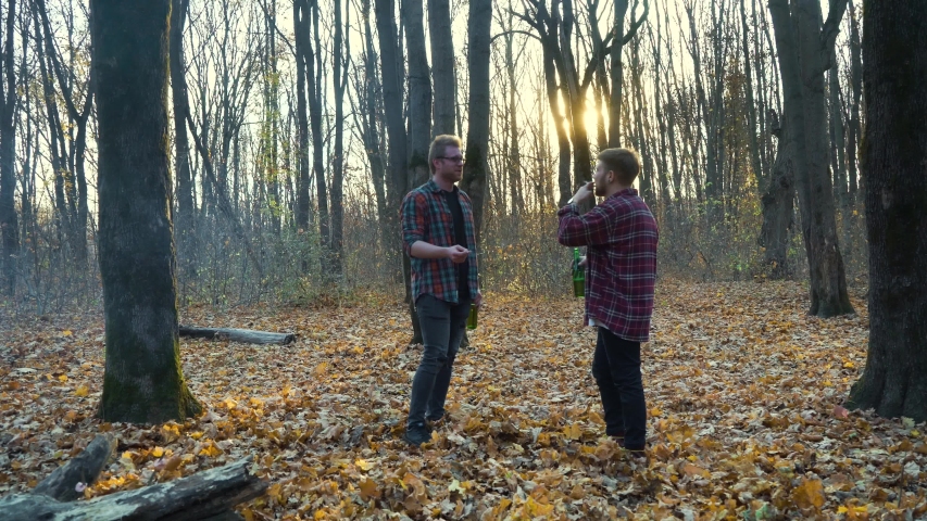 Tourists smoking cigarettes and drinking beer in dark forest in autumn | Shutterstock HD Video #1050834178