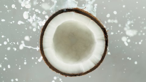 Super Slow Motion Shot of Milk Splashing on Coconut at 4K isolated on grey.