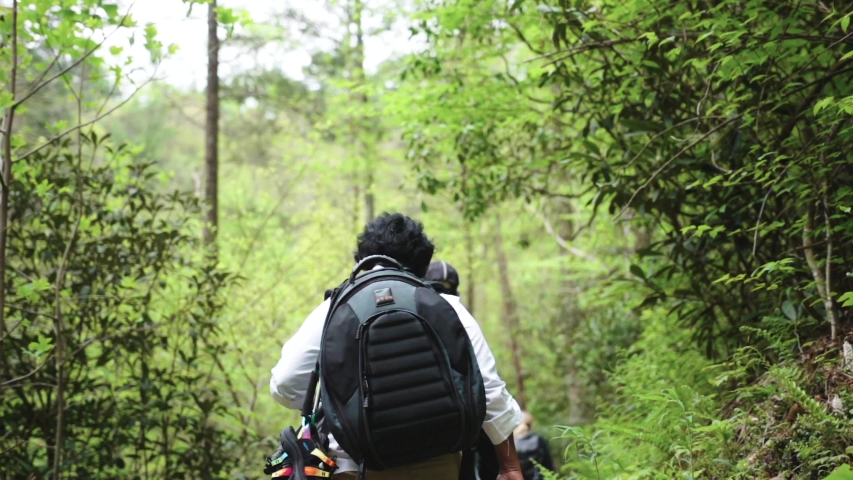 billabong cheetah backpack