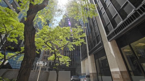 NEW YORK CITY, USA – JUNE 26, 2019: Tilt motion view over NYC corporate buildings in Financial District, shining sun and green tree foliage  