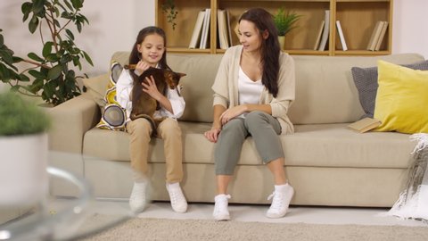 Happy beautiful woman playing with jack russel terrier dog while sitting with little daughter on sofa in living room. Cheerful girl petting and cuddling with lovely Abyssinian cat