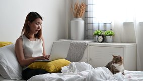 Frustrated Young Asian woman working on laptop playing with adorable cat on bed. Concept of Work from home, Self quarantine and new normal