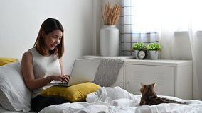Young Asian woman working on laptop playing with adorable cat on bed. Concept of Work from home, Self quarantine and new normal
