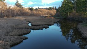 Drone View of a Beautiful Wetland Environment on an Island in the Pacific Northwest. Aerial video of a slough located on Lummi Island, Washington.
