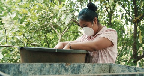 young hispanic female wearing a facemask while working with a large laundry basin on a rural village surrounded by nature during coronavirus outbreak. 