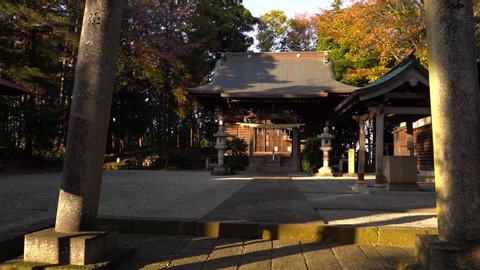 Small Wooden Shinto Shrine Surrounded By Trees In Japan - wide shot