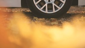 Car driving along an empty forest road, over vivid fallen autumn tree leaves in fall. White car driving through the beautiful autumn forest, swirling colorful leaves. Slow-motion, close-up video