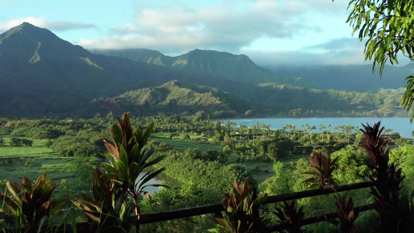 Hanalei Bay aerial drone shot. greenery nature over river from above. Ocean view shot over tropical island paradise in Hawaii, USA. From viewpoint overlooking mountain nature and natural landscape