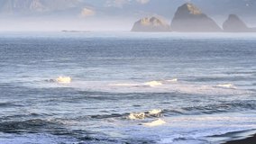The wild Oregon coast offering a relaxin and dramatic Coastal landscape thats ever changing as the waves carve their way thru the sand and rocks part of the Samuel H Boardman Scenic Corridor.