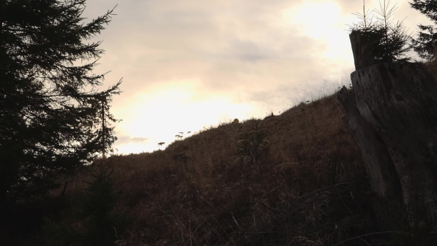 Male silhouette walking down a hill during sunset.