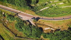Aerial video with drone. Top view of mountain road green trees grape fields on mountainside. Winery of beautiful old city of Riva del Garda north Italy. Peak alpine italian mountains. Fly air shooting