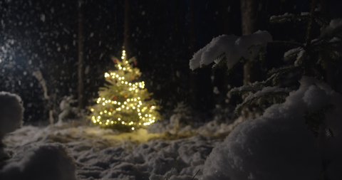 Christmas tree decorated with lights outside in snowy forest in winter night