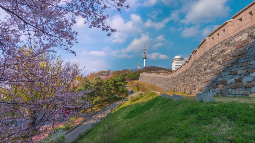 The cherry blossom season of the N Seoul Tower is over the mountains of Namsan in the heart of Seoul, South Korea.