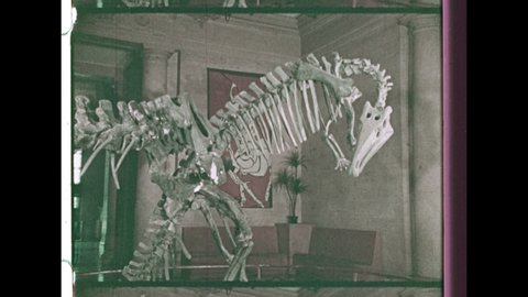 1970's Reenactment of Cavemen leaving the cave. A Dinosaur skeleton in a museum. 4K Overscan of 16mm Film Showing Frame Lines and Sprocket Holes 