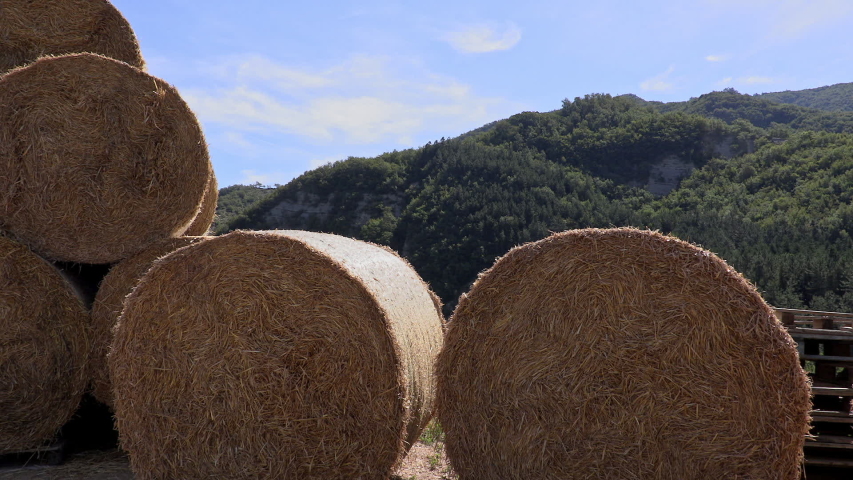 Pan movement right to left from hills to hay bales. These are placed on a truck trailer. Deliberately detailed clip