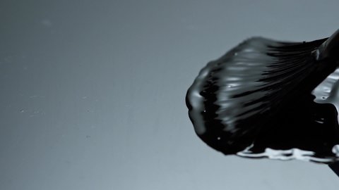 Artist painting with paint brush and black background with amazing paint detail. Slow Motion 