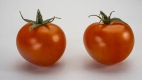 Red juicy tomatoes on white background stop motion animation 4k studio