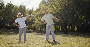 Active elderly couple exercising outdoors in a park or garden ding arm stretches in a health and fitness during retirement concept