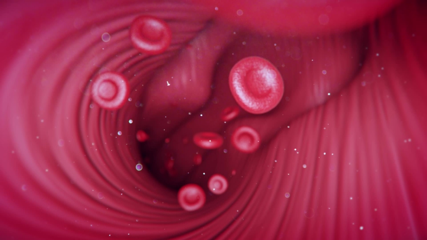 Inside Blood Vessel White Cells Pulsing Stock Footage Video (100% 