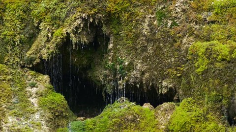 Spring water dribbling from a green moss-covered rock with a cave