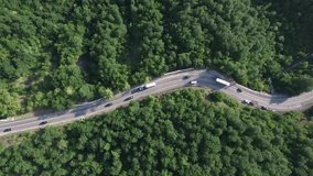 Beautiful aerial flight over the winding serpentine road surrounded by green forest on a Sunny summer day.