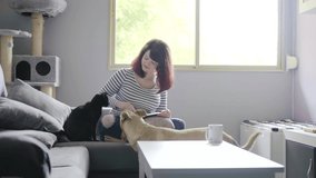 Girl working with her cat and dog inside her house in a cheerful atmosphere