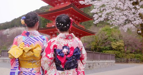 Japan Geishas Cherry Blossoms Temple Kyoto 3