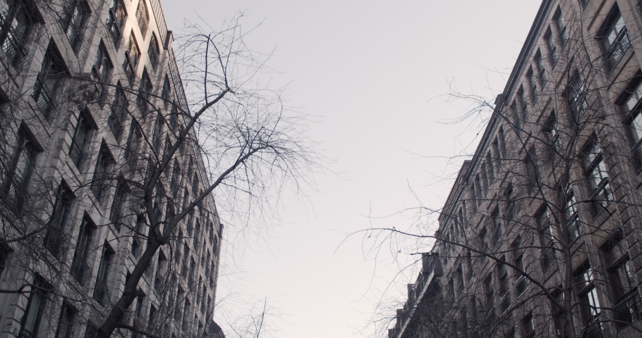 Street photographer smiling and happy takes photograph of cameraman in historic old Montreal surrounded by buildings in the fall