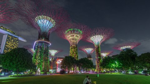 SINGAPORE - CIRCA JAN 2020: Futuristic view of amazing illumination at Garden by the Bay night timelapse hyperlapse in Singapore. Green lawn with viewers. Night light show at Supertree Groveis is main
