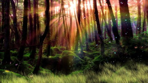 Background of a fantasy scene in a enchanted forest.