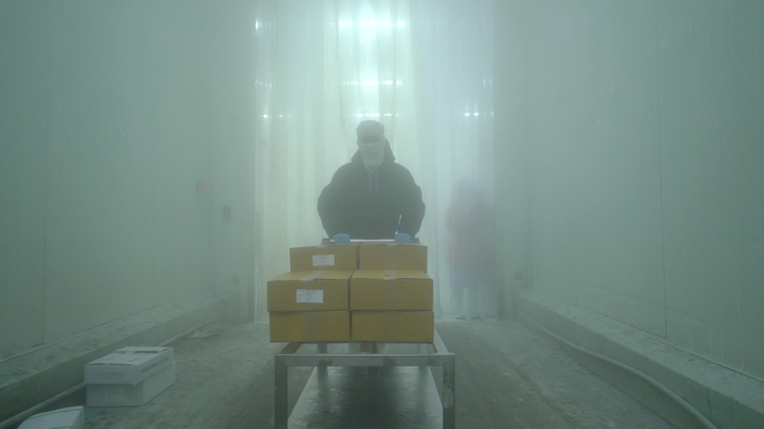Worker are moving boxes to store in cold storage. Royalty-Free Stock Footage #1051089403