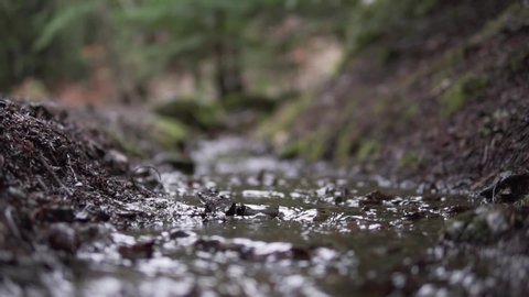 This was taken at a higher frame rate and has been converted to a slow motion video clip. Slow motion of water running down a small stream. Low angle and macro footage.