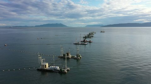 Flying  Over The Historic Reefnet Salmon Fishery of Lummi Island, Washington. Drone video view of the reefnet salmon fishing boats that provide sustainable and environmentally friendly nutrition. 