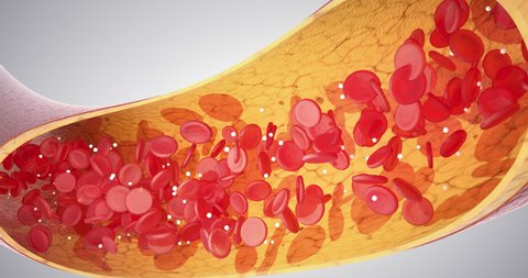 Blood movement in the vessel, 3D render capillaries, red blood cells, white blood cells, vessel, cardiovascular system, blood pressure