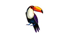 Video as a Toucan bird turns its head and is surprised, examines the property. bright Tropical bird on the move
