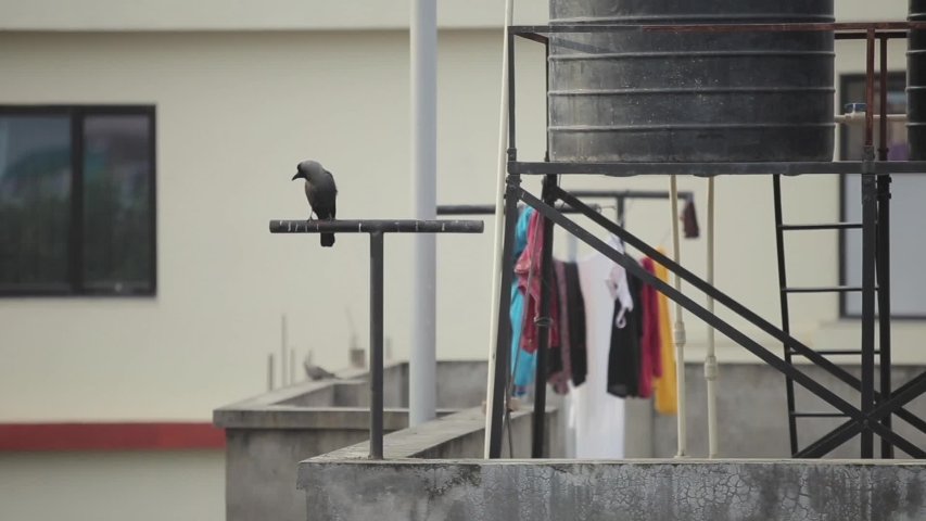 A typical nepalese household. Balcony with shower water barrel.