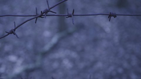 Barbwire fence close up single wire blur foliage concept of pandemic and coronavirus