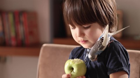 The child is feeding an apple to the bird
