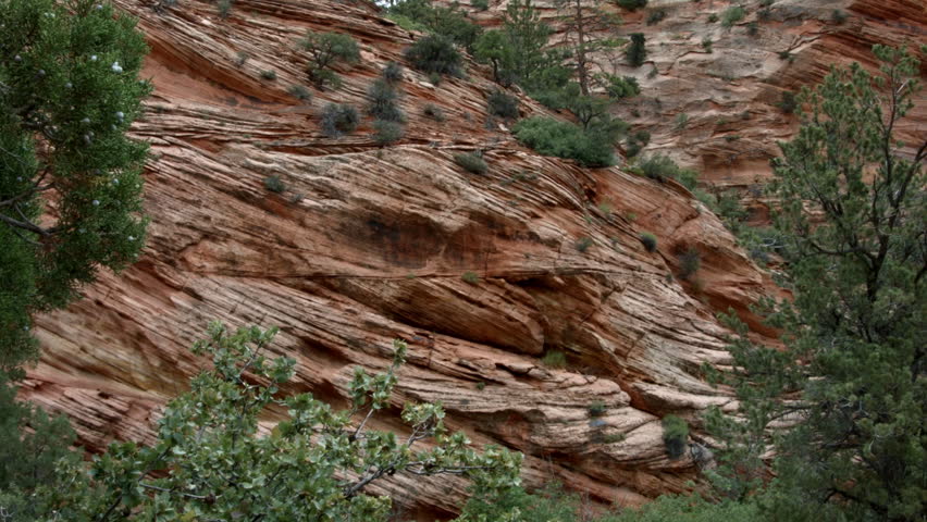 THE CLIFFS OF A RED MOUNTAIN.  DANGEROUS DROP OFFS CREATED BY RED SANDSTONE AND DAPPLED WITH SMALL PINE TREES & BRUSH.  SHOT IN ZION NATIONAL PARK, UTAH.  WESTERN U.S.  VERSION 2 OF 3.