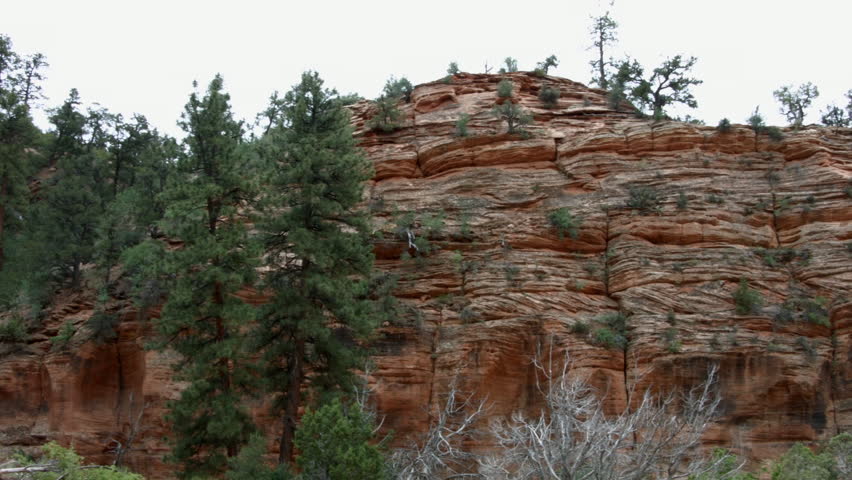 THE CLIFFS OF A RED MOUNTAIN.  DANGEROUS DROP OFFS CREATED BY RED SANDSTONE AND DAPPLED WITH SMALL PINE TREES & BRUSH.  SHOT IN ZION NATIONAL PARK, UTAH.  WESTERN U.S.  VERSION 3 OF 3.