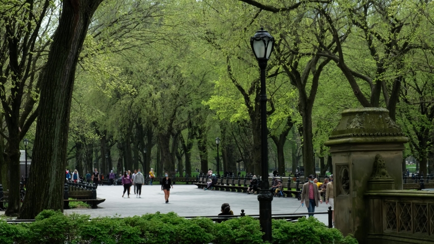 Pedestrians stroll and jog in New York Central Park. Royalty-Free Stock Footage #1051167469