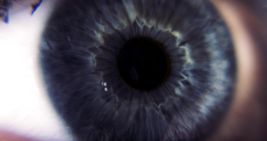  Female Blue Eye. Eyeball Iris Retina Pupil Cornea. Extreme Close-up Macro shot. Blink Open Closed | Shutterstock HD Video #1051181443