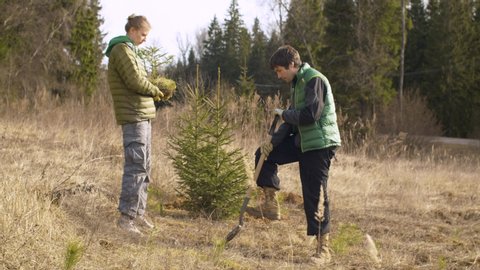 Young attractive woman holding a small fir tree, a man digging a soil near the forest. Family activists planting trees in spring. Earth Day, eco friendly concept