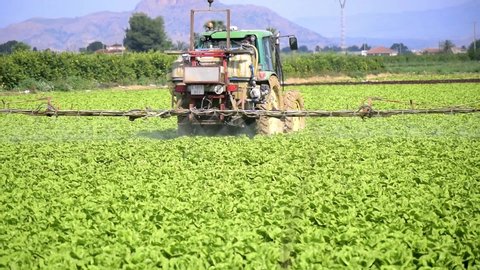 Murcia, Spain, April 23, 2020: Tractor spraying pesticide, pesticides or insecticide spray on lettuce or iceberg field. Pesticides and insecticides on agricultural field in Spain. 