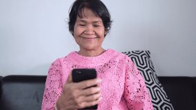 Old woman having video chat using smartphone and smiling enjoying conversation.
