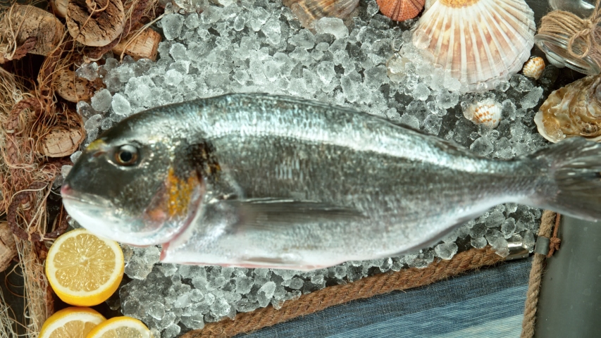 Super Slow Motion Shot of Falling Fresh Bream Fish into Crushed Ice at 1000 fps.