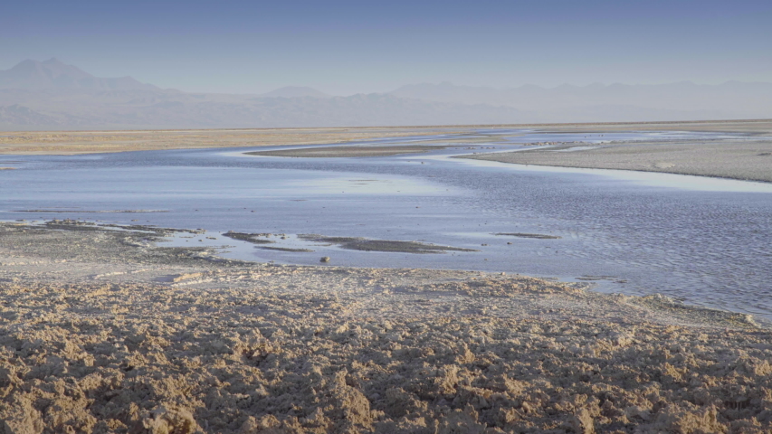 Chaxa Lagoon- Chile. Desert. Andes Range.